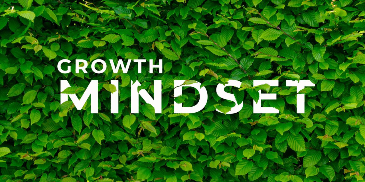 Developing a Growth Mindset: Learning from Failures and Setbacks